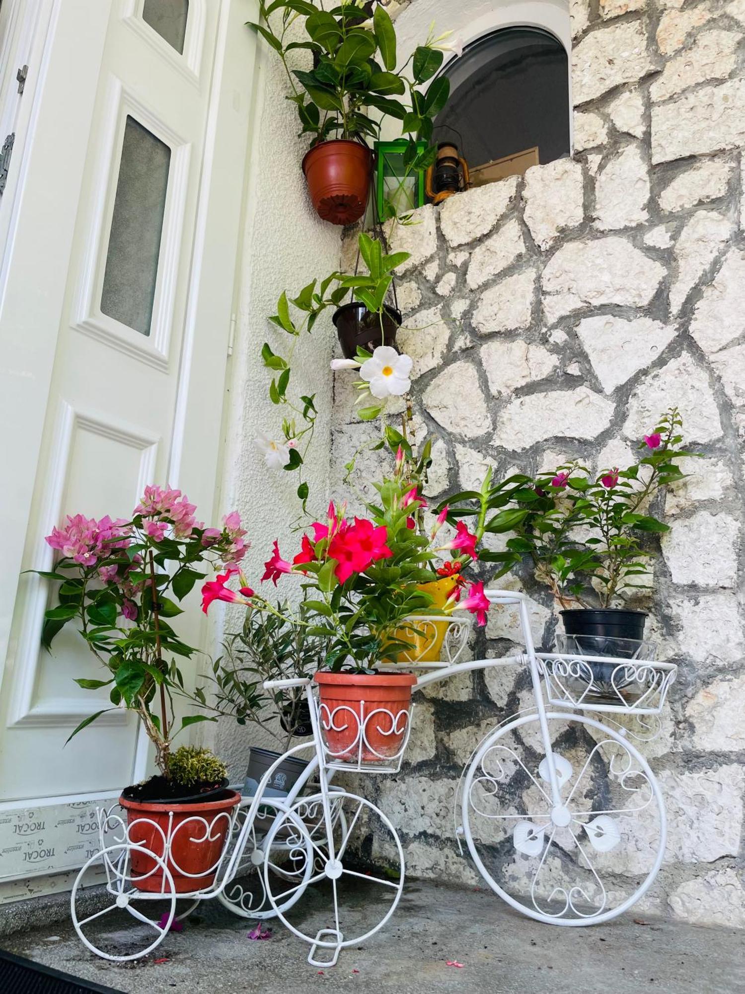 Guest House Blago 바르나 외부 사진